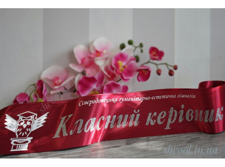 Индивидуальная Лента Класний керівник (VIP)